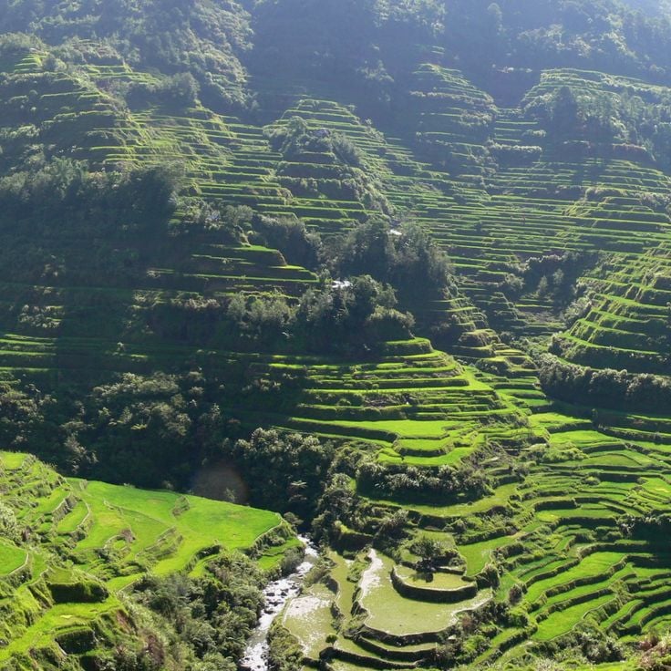 Reisterrassen von Banaue