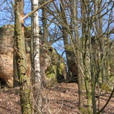 Teufelsfelsen WNW von Veitlahm (Großer Stein)