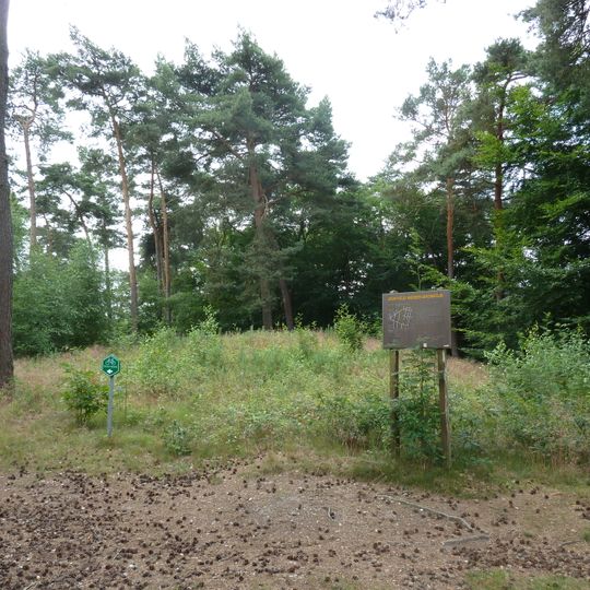 Tumuli Bosberg Swalmen