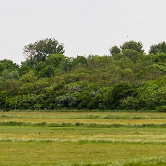 Alte Oevenumer Vogelkoje "Dünkirchen"