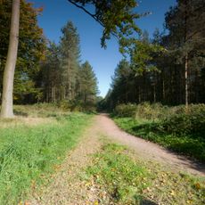 Cannock Chase