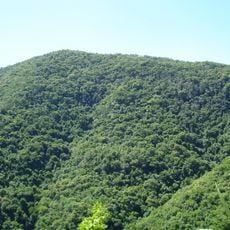 Private Reserve of Natural Heritage of University of Santa Cruz do Sul