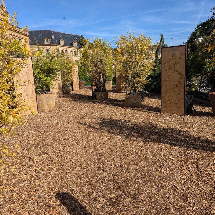 Shadow Gardens