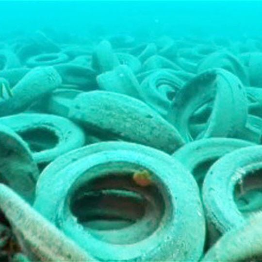 Osborne Reef