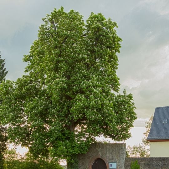 Evangelische Kirche Aulendiebach