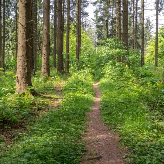 LSG-Paderborner und Bad Lippspringer Waelder