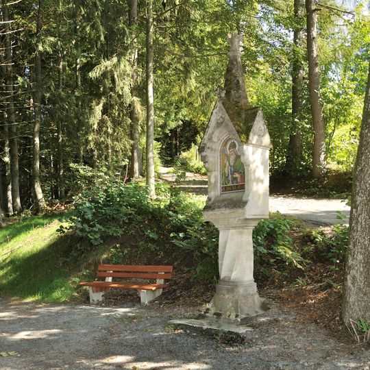 Nicolaus Dumba-Bildstock