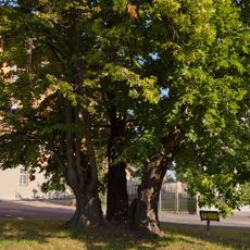 Linde Chemnitzer Straße