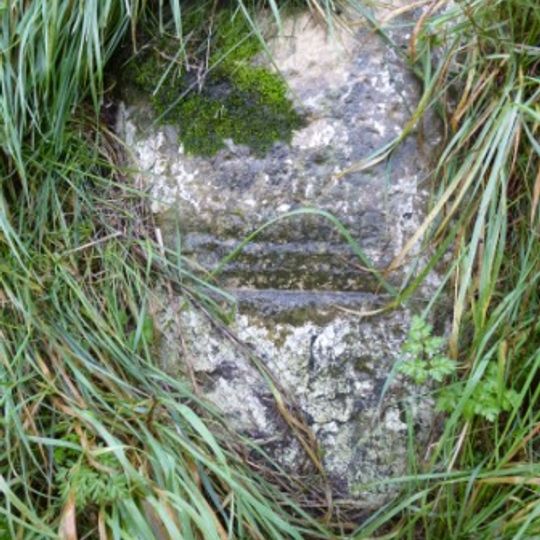 Milestone, Red Lion PH, 5m N of the pub car park, and almost  opp.  gate into the NE sector of the henge