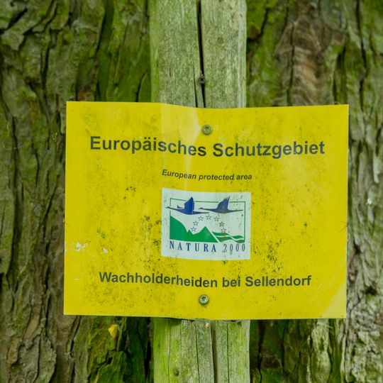 Wacholderheiden bei Sellendorf