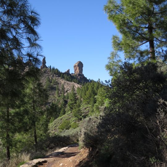 Roque Nublo