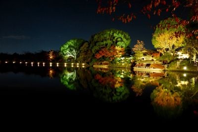 夜景 0