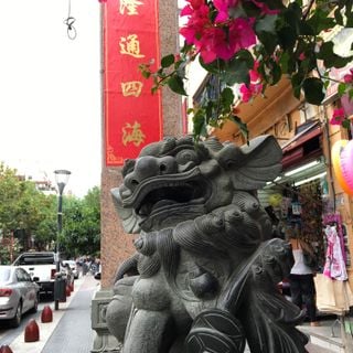 Chinese lions