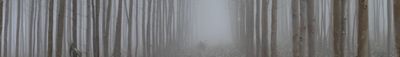 Panoramic View 0
