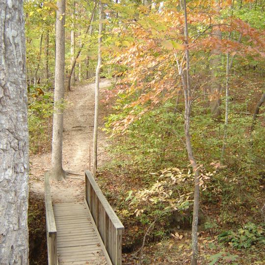 William B. Umstead State Park