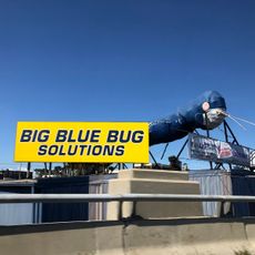 Big Blue Bug