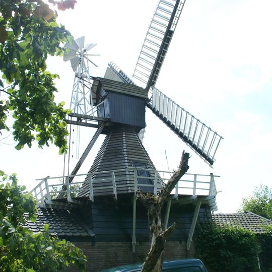 Spinnenkop Wedderveer