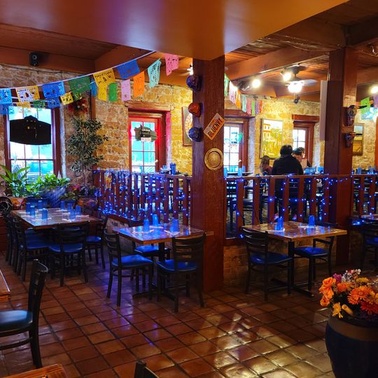Blue Iguana