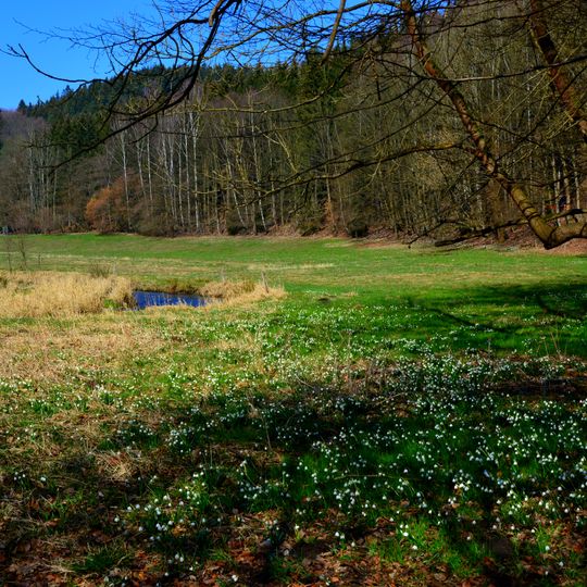 Oberes Polenztal und Hohes Birkigt