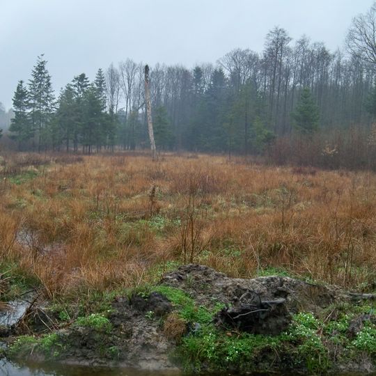 Brzóźniański Obszar Chronionego Krajobrazu