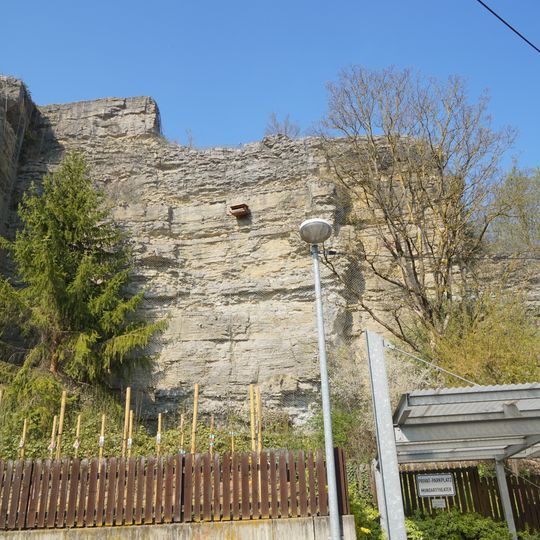 Zinne am Steinbruch Darmsheim
