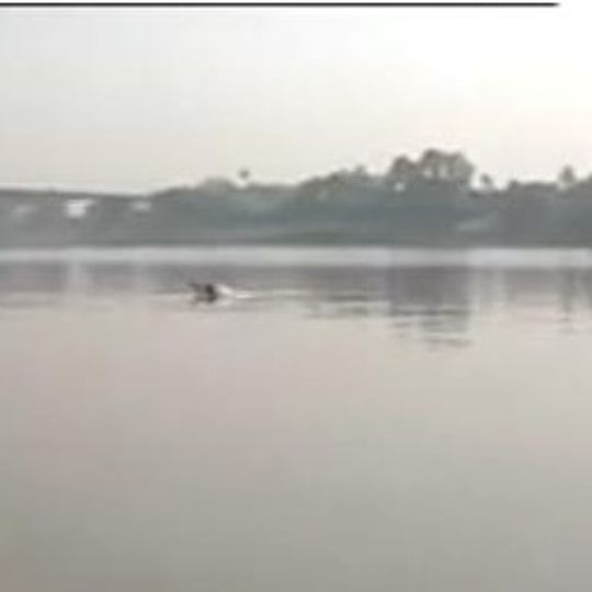 Vikramshila Gangetic Dolphin Sanctuary