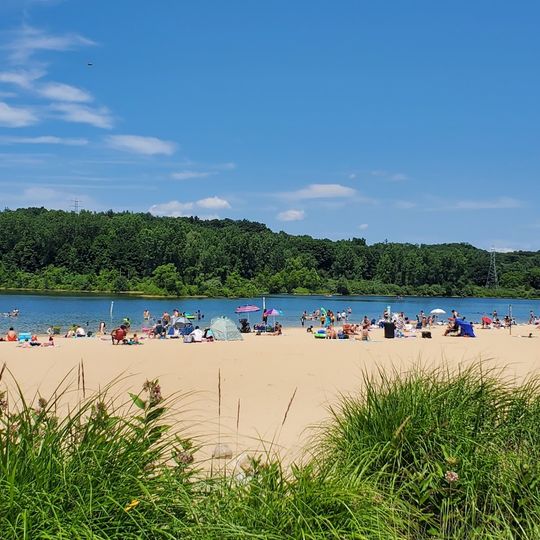 Millennium Park Beach
