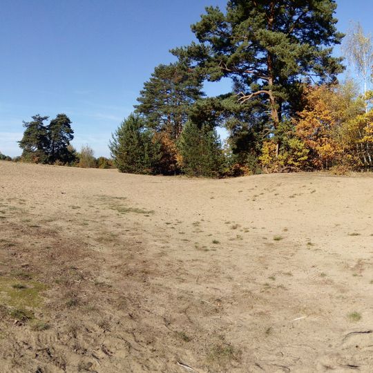 Písečný přesyp u Vlkova