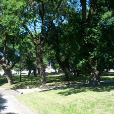 Carballeira de San Lourenzo