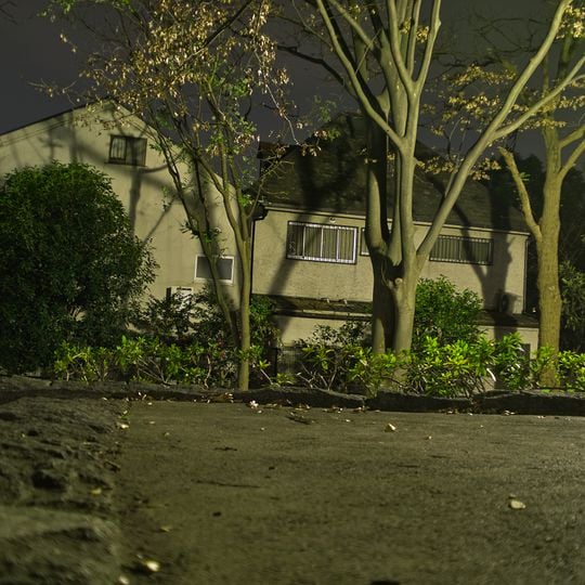 Setagaya family murders