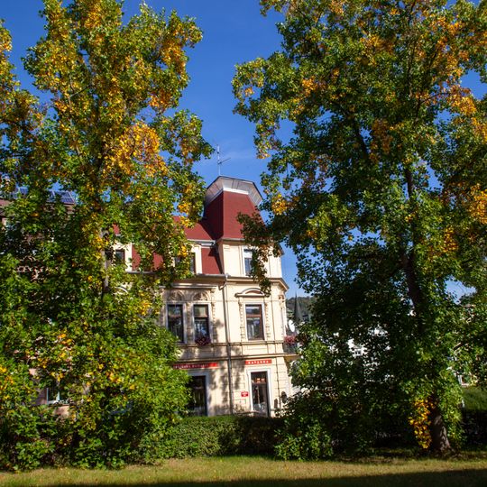 Liliovníky v Děčíně