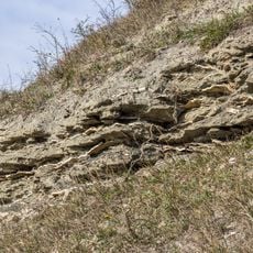 Tonmergelstein am Schwanberg NNE von Iphofen