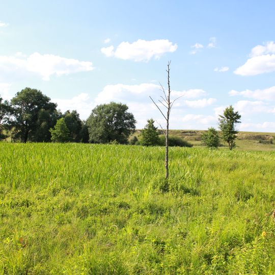 Воронківський гідрологічний заказник