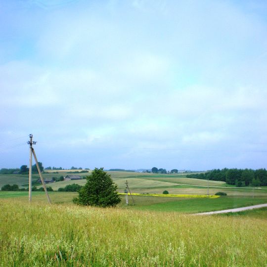 Comune distrettuale di Kaišiadorys