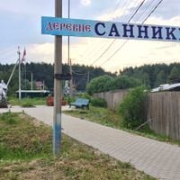 Санники