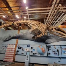 Cabrillo Marine Aquarium