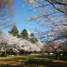春の風公園