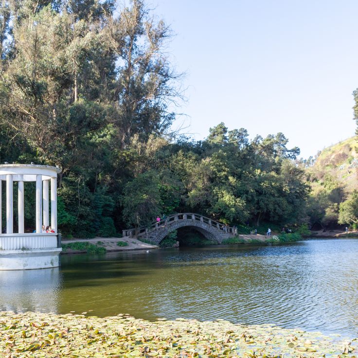 Jardín Botánico de Viña del Mar