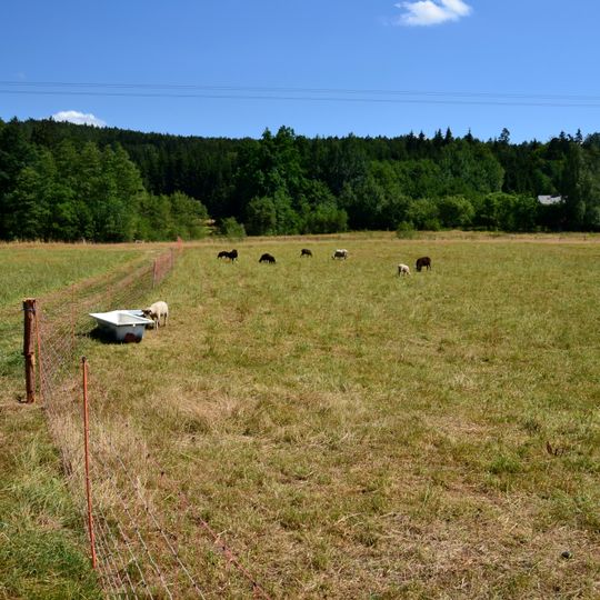 Besednické vltavíny