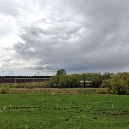 Васильевский луг