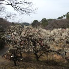 大倉山公園