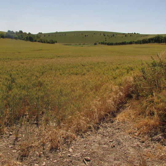 Grovely Castle and earthworks N of Grovely Wood