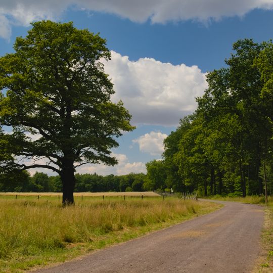 Miechowicka Ostoja Leśna