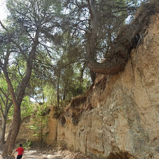 Zona de Acampada Fuente de la Higuera