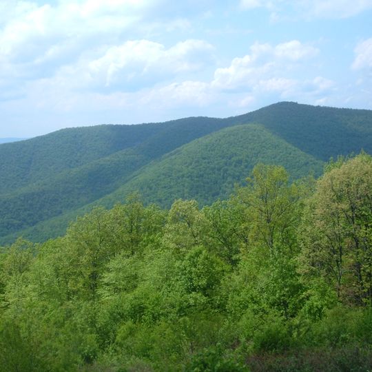 Knob Mountain