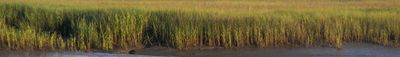Panoramablick 0