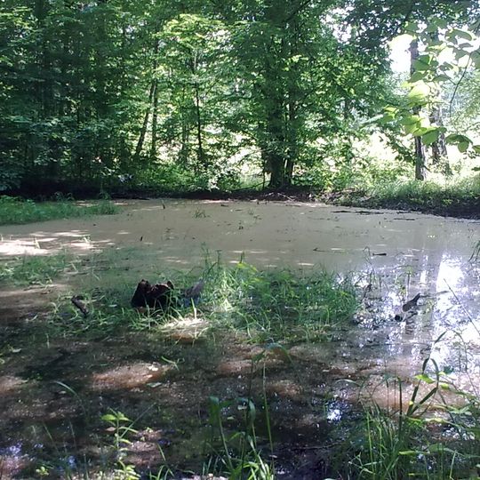 Rezerwat przyrody Obory