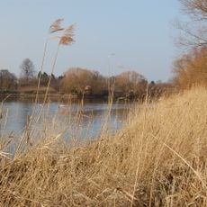 Wuhlebecken
