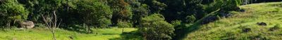 Panoramic View 1