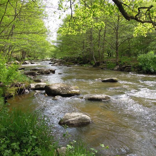 Arboretum de la Sédelle